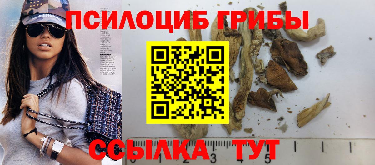 Белово  Псилоцибиновые грибы Psilocybe  закладка  Галлюциногенные грибы Cubensis  Вход с VPN 