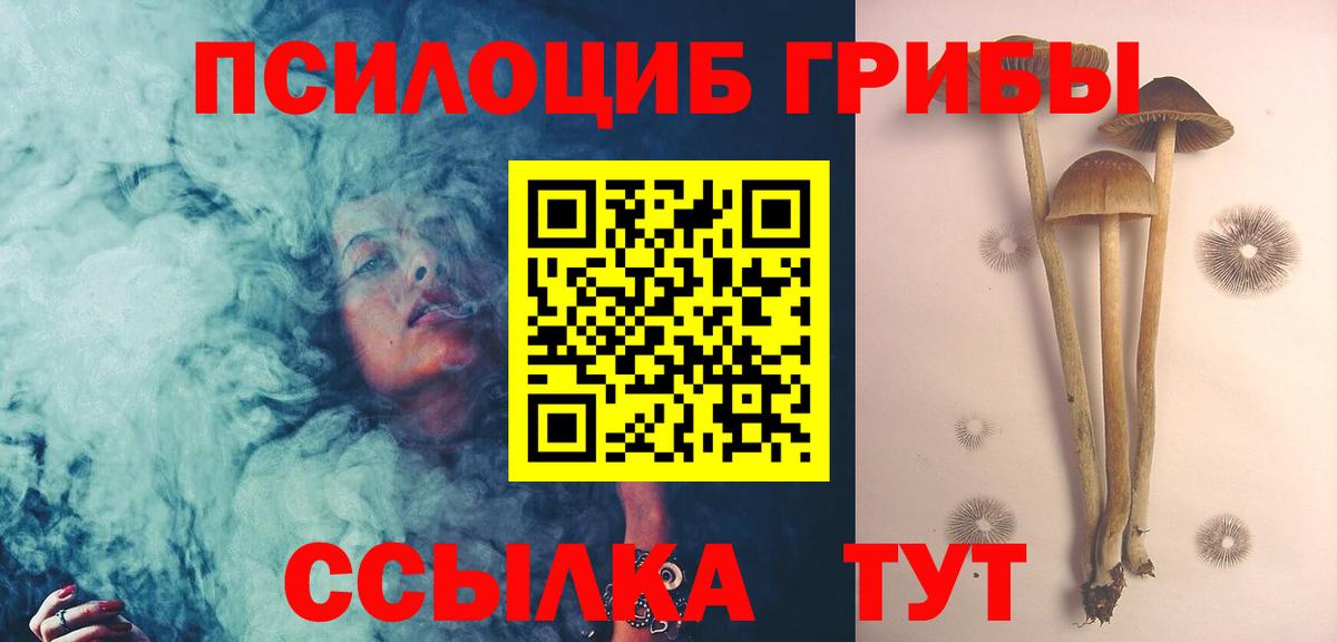 Псилоцибиновые грибы Psilocybine cubensis Белово